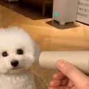 구두다방 이미지