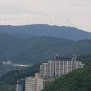 단풍나무펜션 이미지