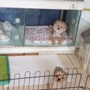 루이호텔 이미지