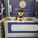 올리스 남양주별내점 이미지