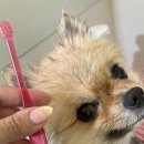 살롱드베베 이미지