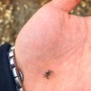 김앤조서울정형외과의원 이미지