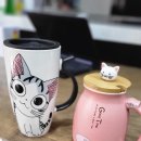 범과같이 이미지