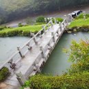 사계절꽃집 이미지