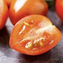 토마토 | 스테비아 토마토 단맛 끝판왕 방울토마토 후기