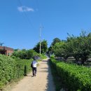 실로암 힐링홈 이미지