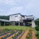 강화웰빙공인중개사사무소 이미지