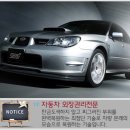 스카이덴트칼라