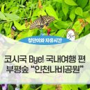 부평숲인천나비공원 이미지