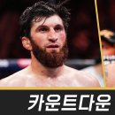 UFC 320 카운트다운 마고메드 안칼라예프 VS 알렉스 페레이라2 공식 한글자막 이미지