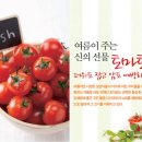 우리들야채 - 성남시 중원구 원터로99번길 2-1 | 우리들야채