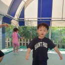 행복누리고펜션 이미지