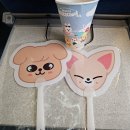 240524~25 스키주 부산 팝업..을 명분으로 부산여행을 다녀온 후기