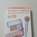 VDL 블러셔 멜로우씬 & 커버 스테인 쿠션 (바운싱피치밤) 후기 | 올리브영 세일 추천