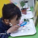 숲속향기생태 어린이집 이미지