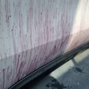 김영철 손세차장 이미지