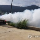 신지면-5 이미지