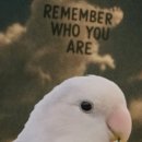 파랑새주유소 | 🚗 왕복 2시간 출퇴근! 신한 딥오일 카드로 주유비 절약한 내돈내산 후기