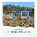 힐링흙집펜션 나동 | 태안 SE클럽 오션 콘도 디럭스 나동 애견동반 후기