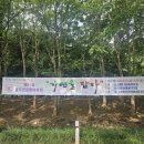 예술꽃 발표회 | 동두천 축제 행사 한눈에 보기｜메타세쿼이아길 사진전부터 송내마을축제·락페스티벌·예맥축제까지