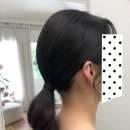 셀레브헤어 | 결혼준비: 웨딩촬영 셀레브 헤어변형 후기 💇‍♀️