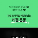 큐어핏 이미지