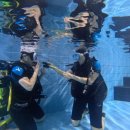 스쿠버라인 | PADI 스쿠버다이빙 오픈워터 자격증 후기1 오션라인다이브센터 부산스쿠버다이빙 부산이색취미