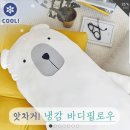 디그레이 냉감바디필로우 후기