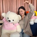 박경혜 6평 자취방, 강남 원룸의 반전? 2층 침대 하나로 인생 공간 바꾼 후기