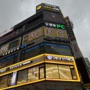 오셀롯PC 영통구청점 | 영통역 피시방 오셀롯 알바생이 고양이라고?