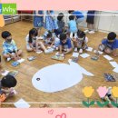 솔밭왓앤와이 영재유치원 이미지