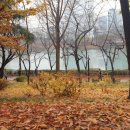 디앤써피부과의원 | 디앤써 피부과 인모드 후기