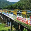 문경 오미자테마터널 이미지