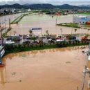 안성 월동천 이미지