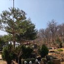 소이네 닭장 | 인천 아기랑 갈만한 곳, 자연놀이터 반디세상