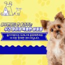 웰씨코리아 이미지