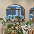 채령농장 | 망월동 카페 추천 아도라 플라워앤카페 꽃향기로 가득한 나만알고싶은카페