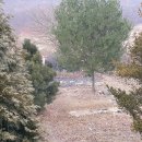 창촌3리 마을회관 이미지