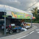 산너머그집 | 16M : 대구 귤따기체험 산너머그집