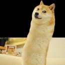 숙이와 목이 이미지