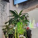 써니샌드위치디저트 이미지