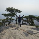 에덴동산 이미지