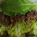 (주)늘품 이미지