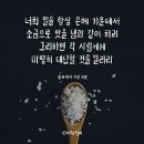 소금으로 맛을 냄과같이 하라. ( 골로새서 4 장 ) 이미지