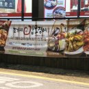 조가네갑오징어 이미지