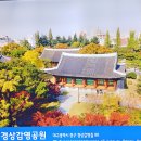 대구포목 티스토리