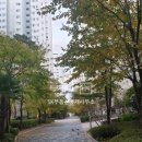 쌍용부동산중개사무소 이미지