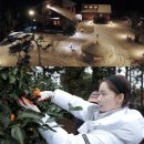 환상의민박 이미지