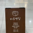 7249 | [경기 시흥] 은계 베이글 맛집! 하루빵집 방문 후기🥯