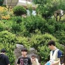 월문천2 이미지